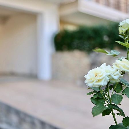 Μικρό Διαμέρισμα Της Αγγελικής Με Αυλή Και Parking Kalamata Exteriér fotografie